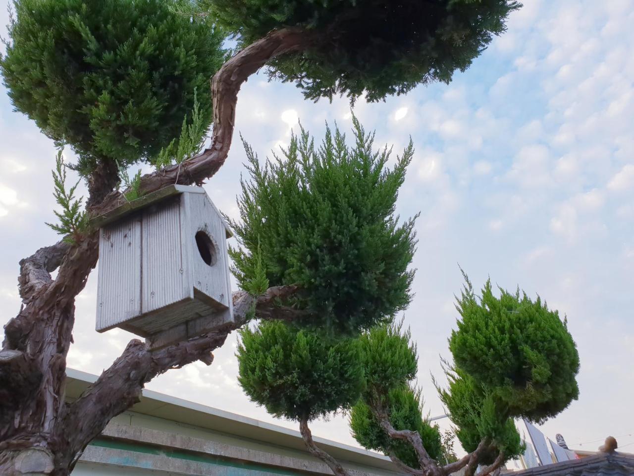 Hanok Raon Gyeongju Exteriör bild